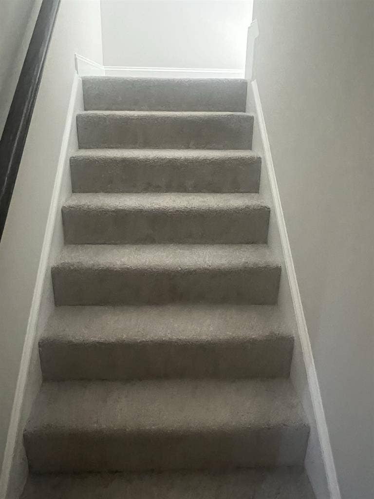 Roommate needed