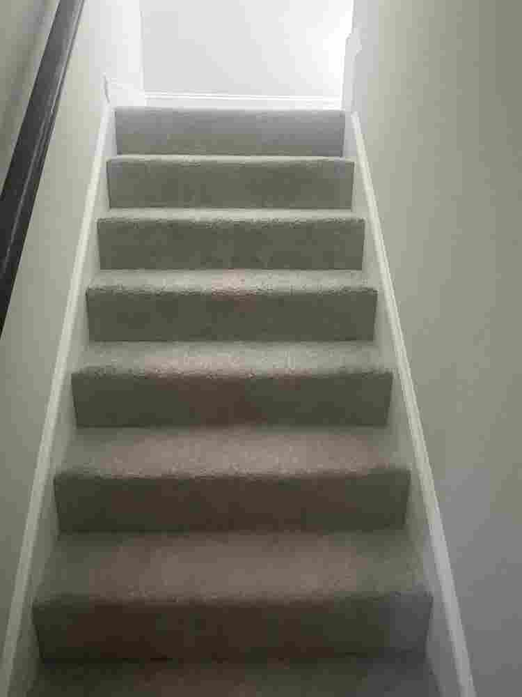 Roommate needed