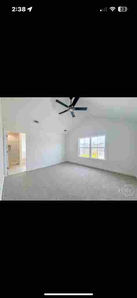 Roommate needed