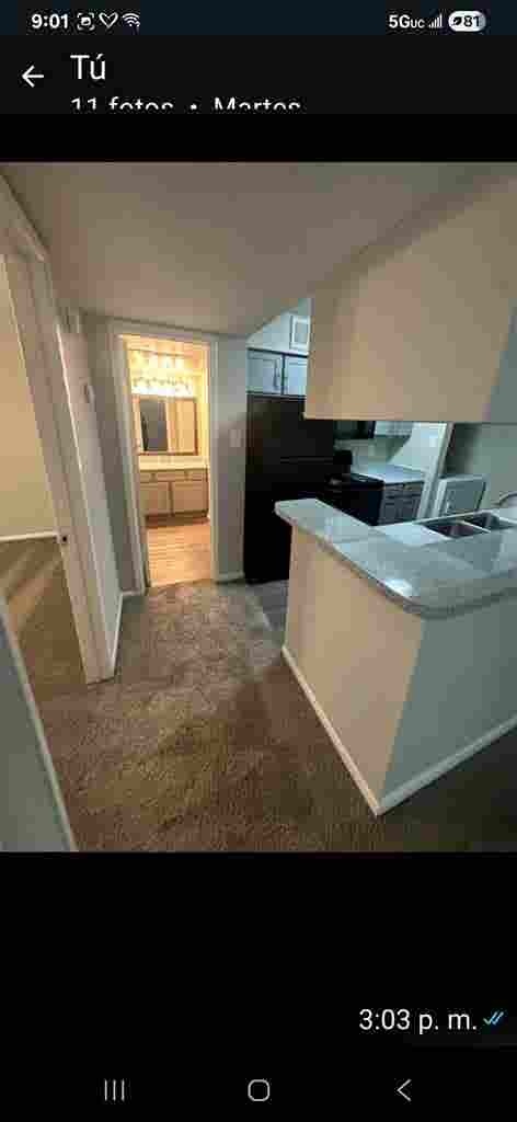 New Listing