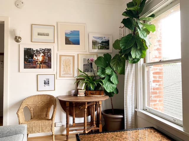 STUDIO/ ONE BED APT IN VENICE BEACH