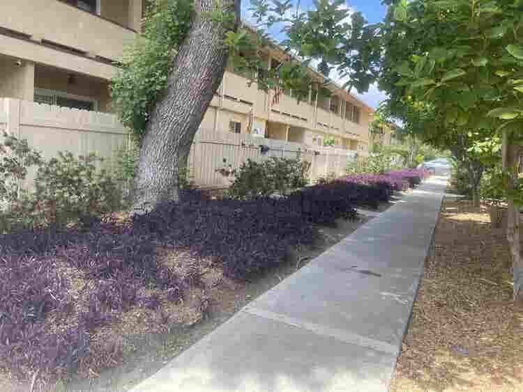 Room for rent in Reseda