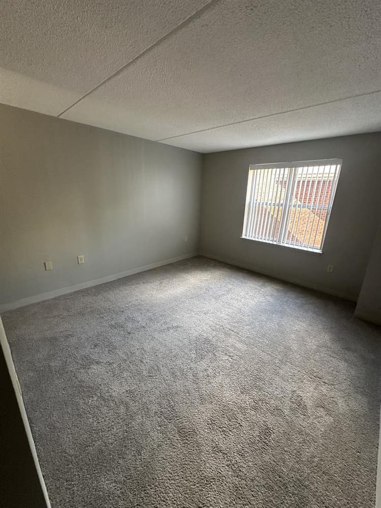 Spacious 1 Bedroom For rent