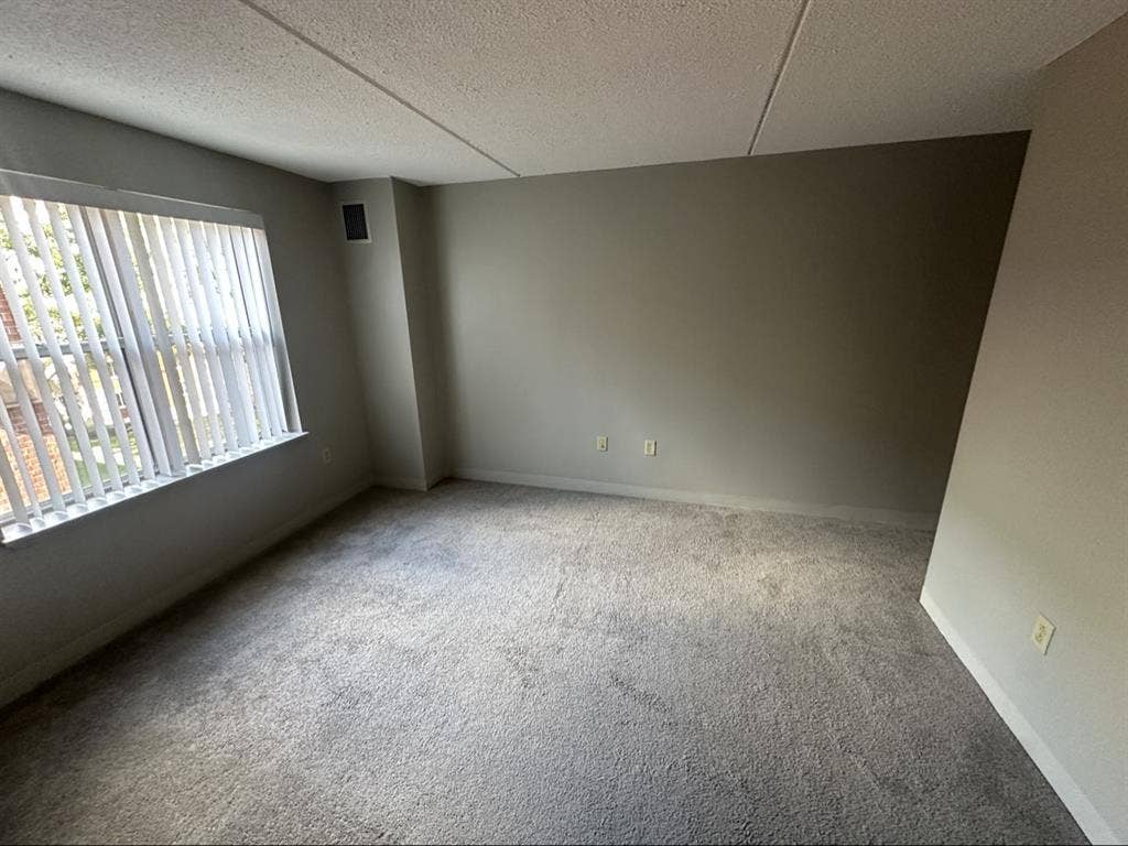 Spacious 1 Bedroom For rent
