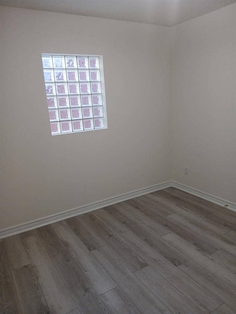 One of a kind place and roommate.