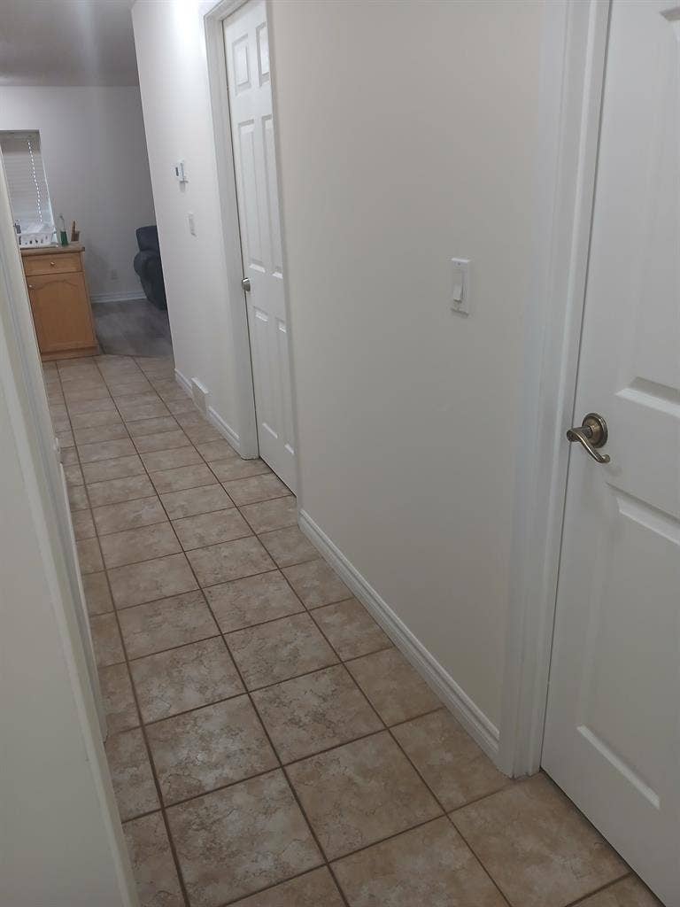 One of a kind place and roommate.