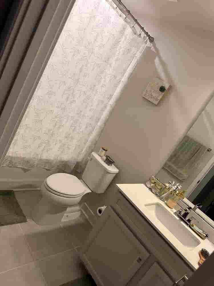 LOOKING FOR A ROOMIE