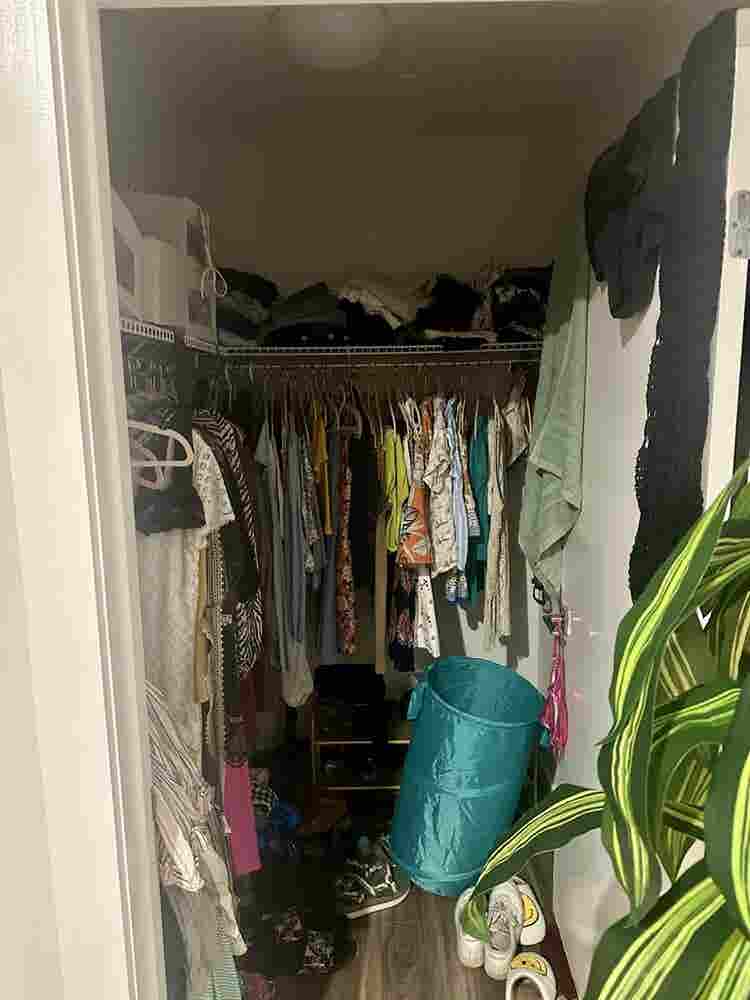 My roommates need a new roomie