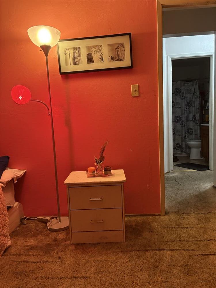 Large furnish room for rent