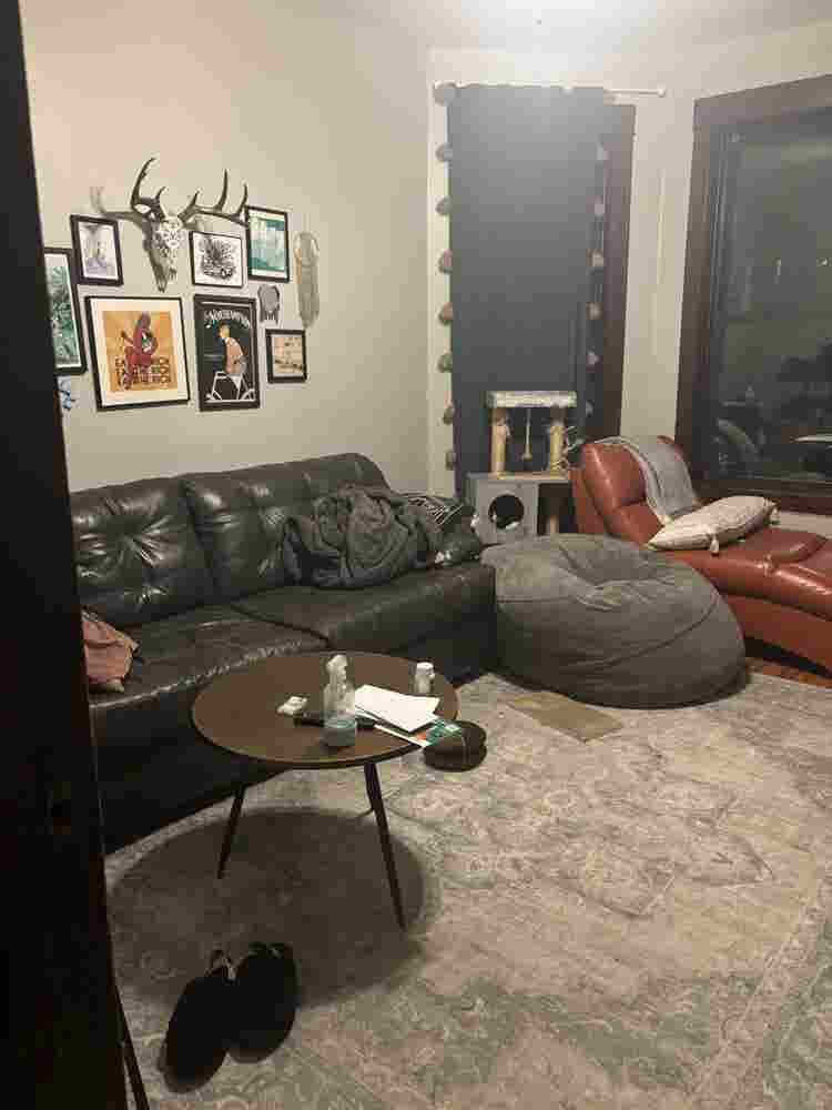 Avondale roommate needed!