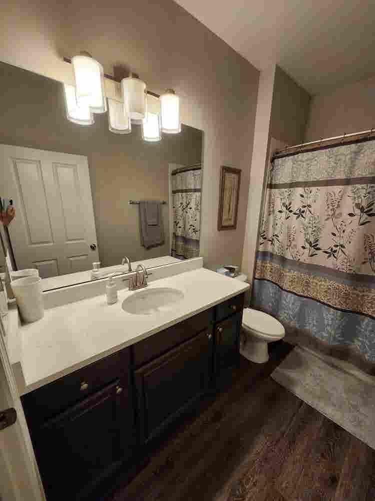 Bath Apartment home to share