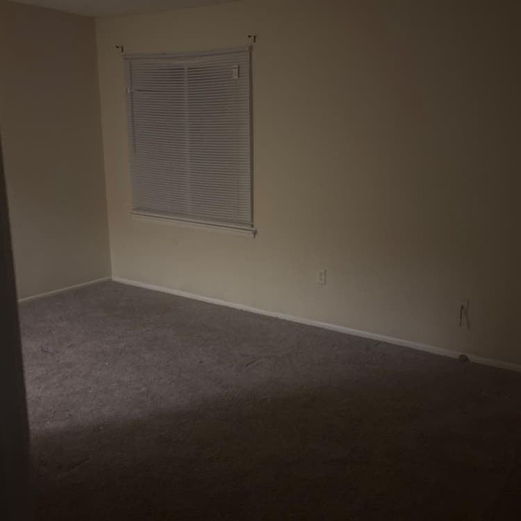 Looking for a female roommate ’s