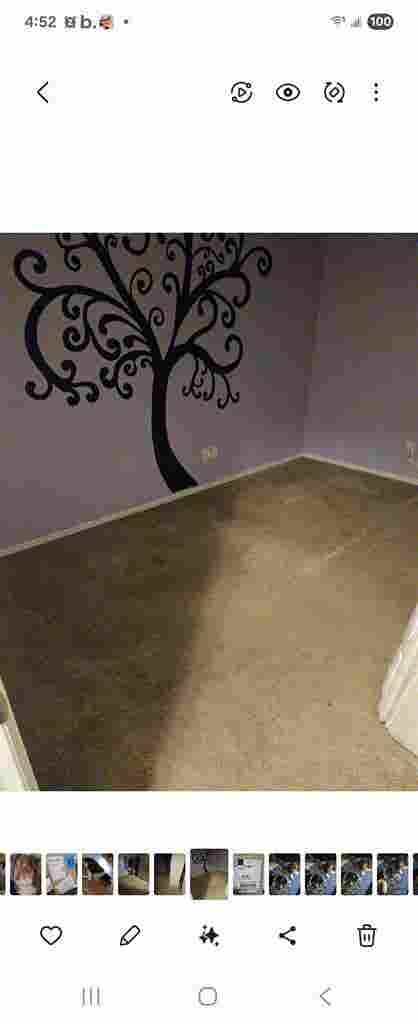Room in neurodivergent/queer house