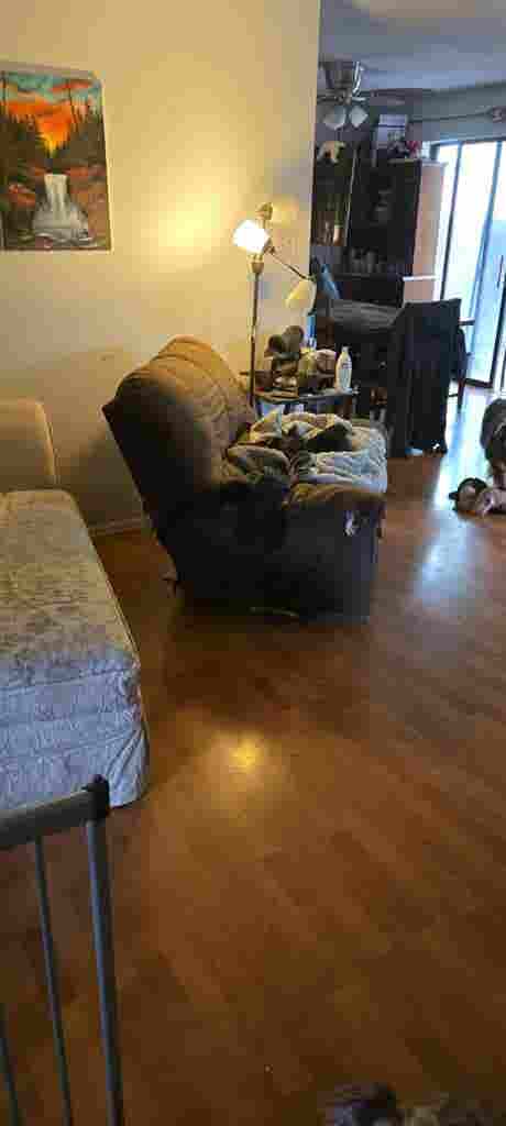 Room in neurodivergent/queer house