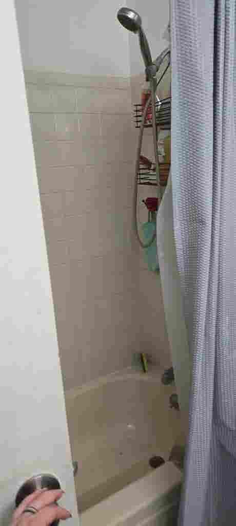 Room in neurodivergent/queer house