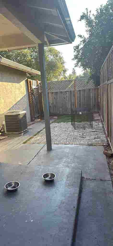 Pet-Friendly Home – 1 Room