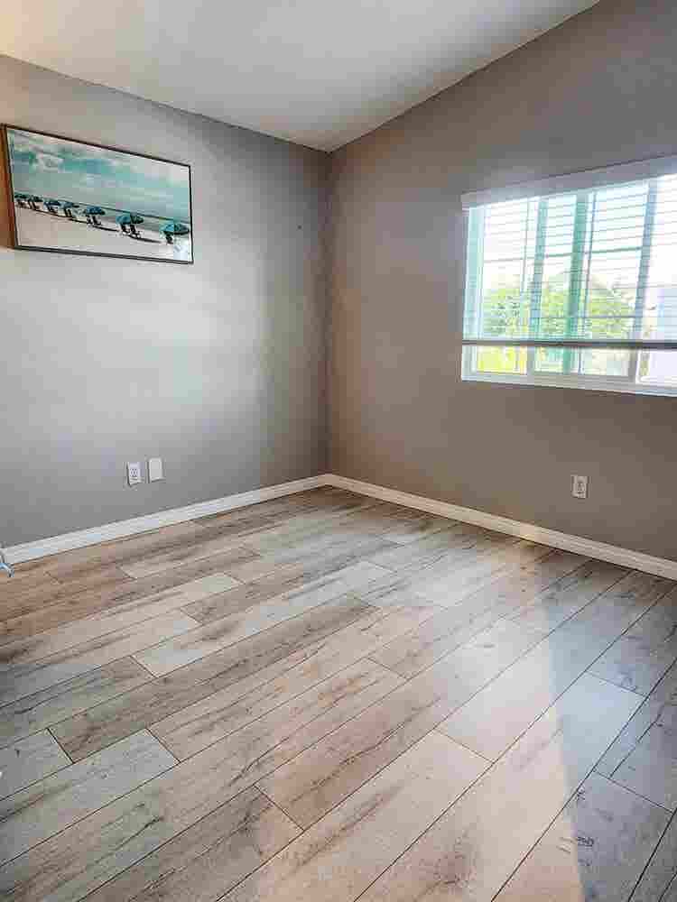 SENIOR   Roommates Wanted