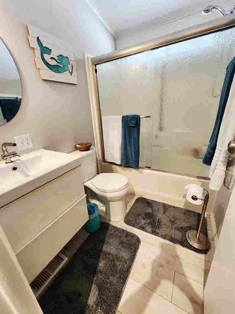 SENIOR   Roommates Wanted