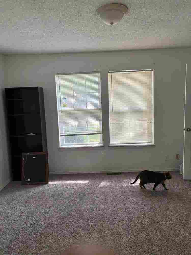 Private room and bath available