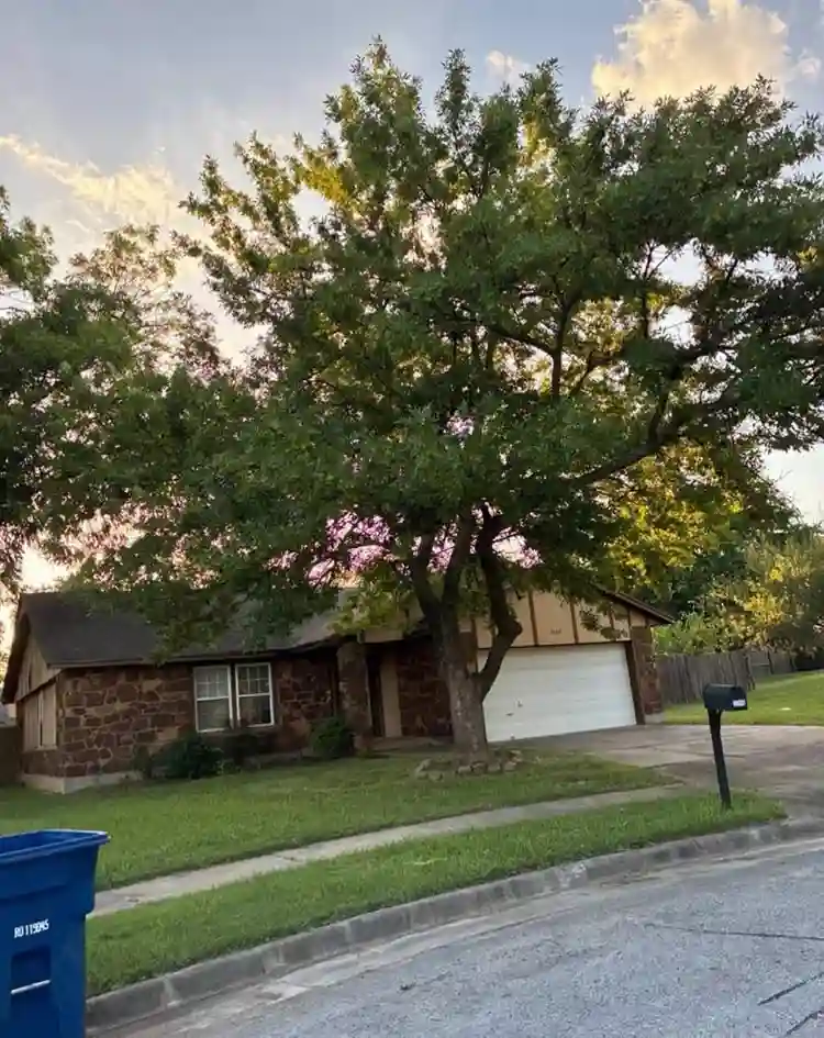 Private room and bath available