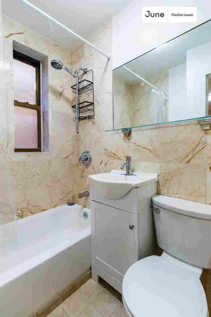 1 BR in New York City