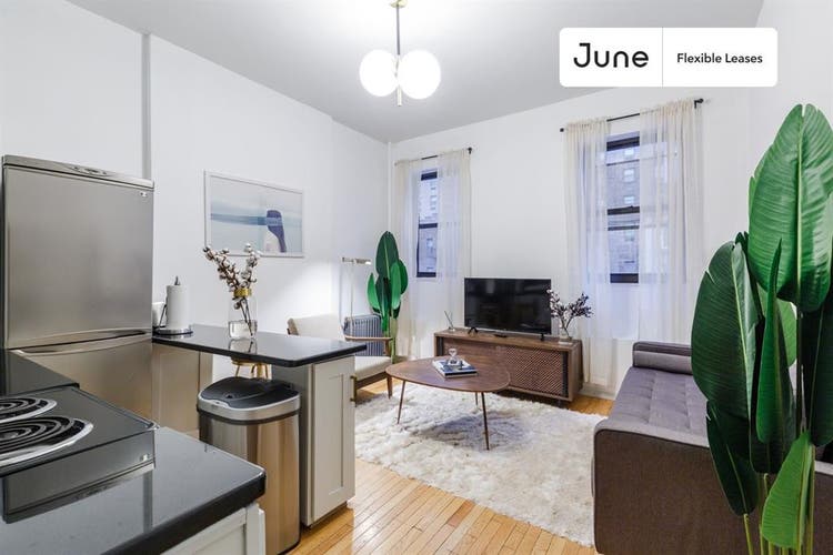 1 BR in New York City