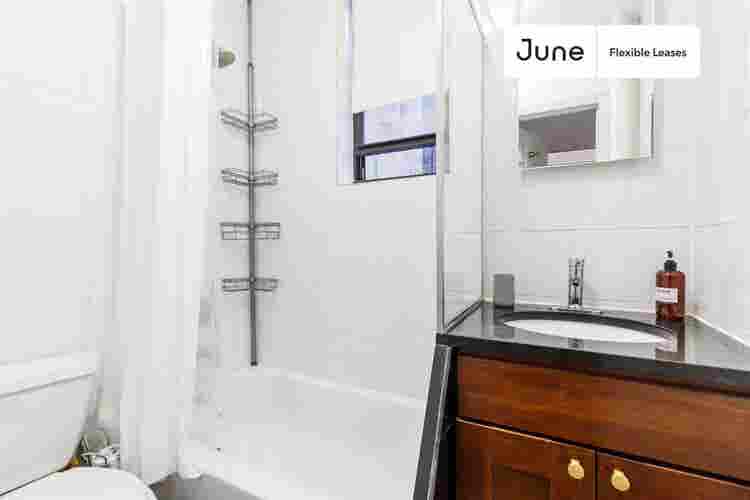 1 BR in New York City