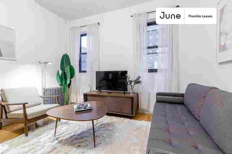 1 BR in New York City