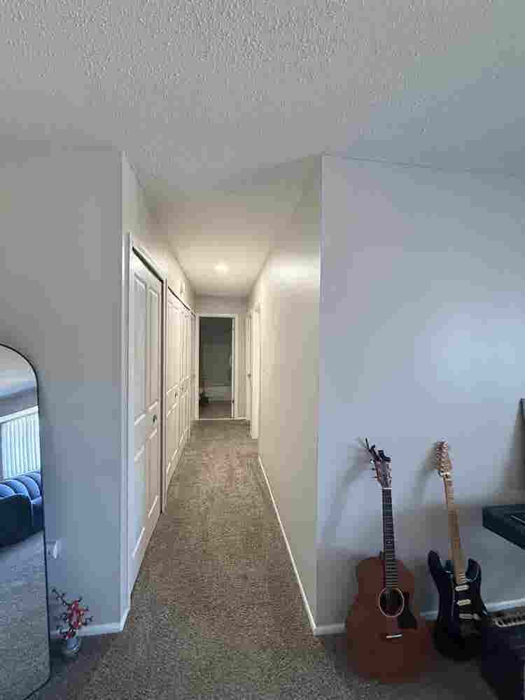 Need a roommate for my Canton apt!