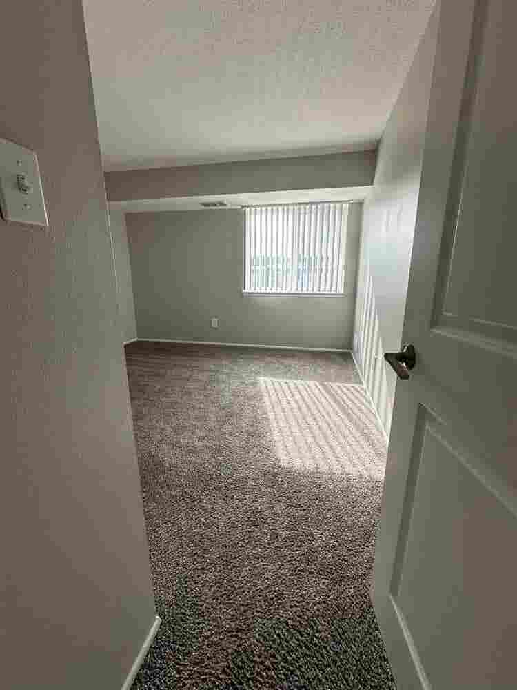 Need a roommate for my Canton apt!