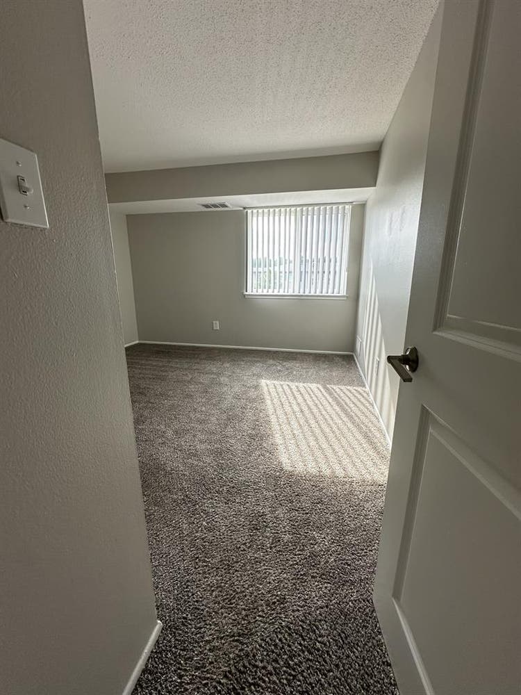 Need a roommate for my Canton apt!