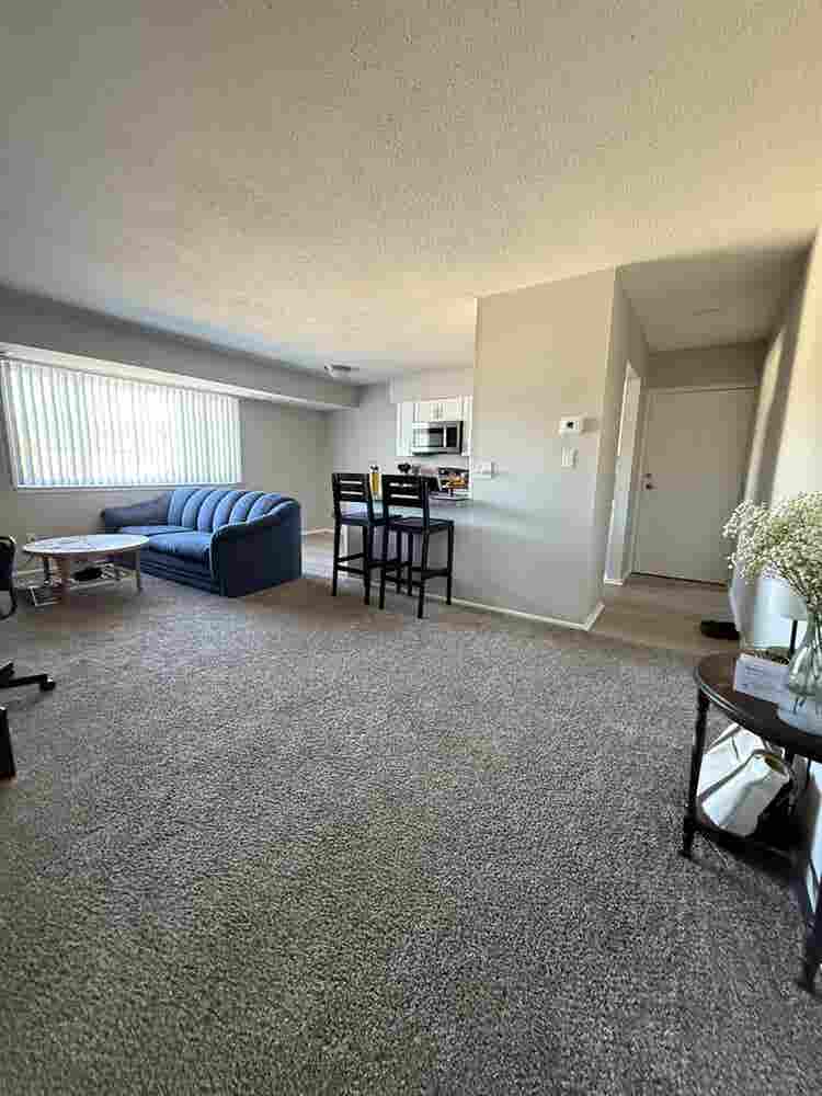 Need a roommate for my Canton apt!