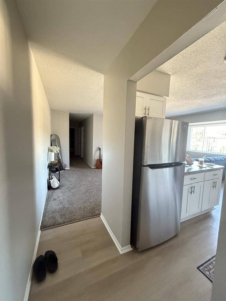 Need a roommate for my Canton apt!