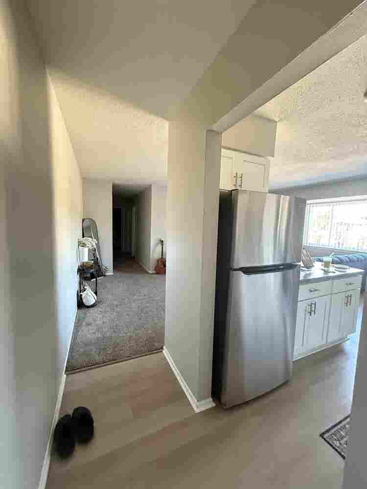 Need a roommate for my Canton apt!