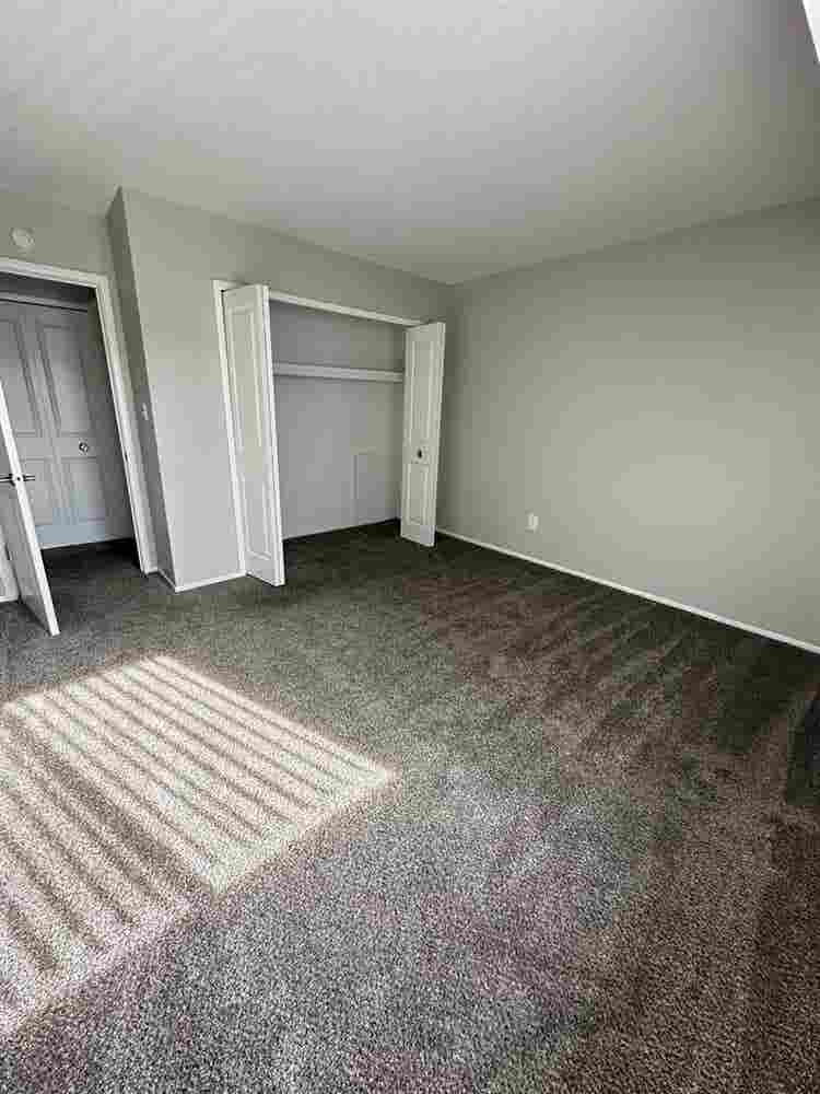 Need a roommate for my Canton apt!