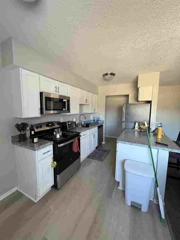Need a roommate for my Canton apt!