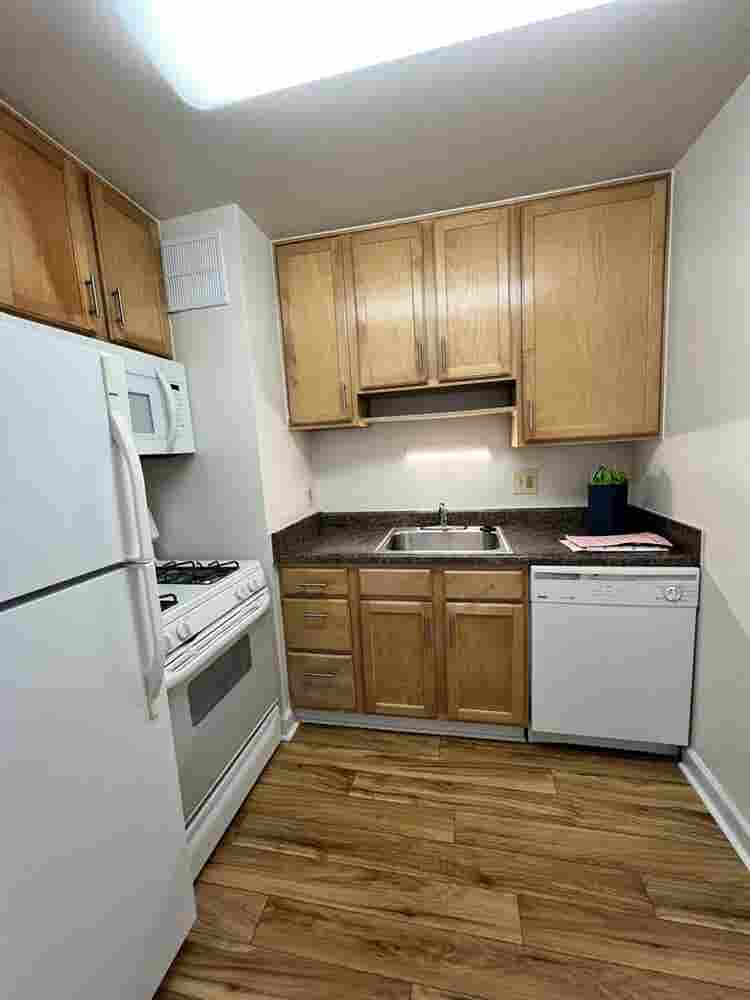 Looking for a Female Roommate