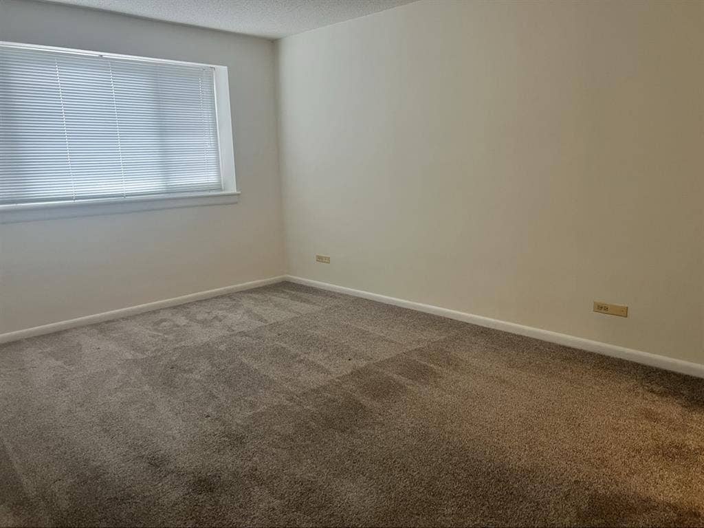Looking for a Female Roommate
