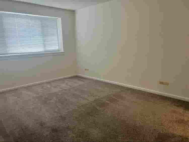 Looking for a Female Roommate