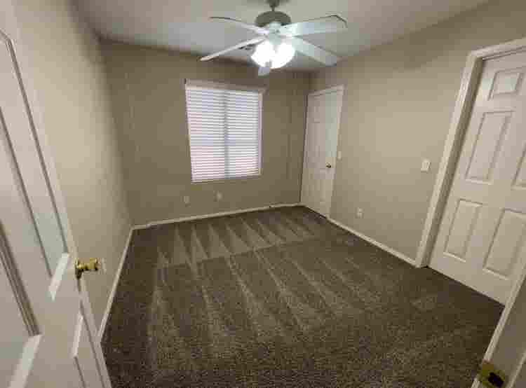 1Bedroom -  No Trump Supporters