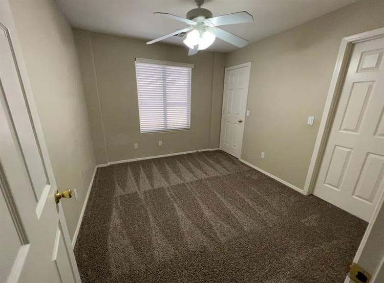 1Bedroom - No Trump Supporters