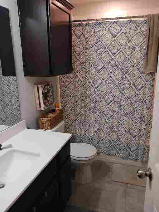 Looking for a roommate