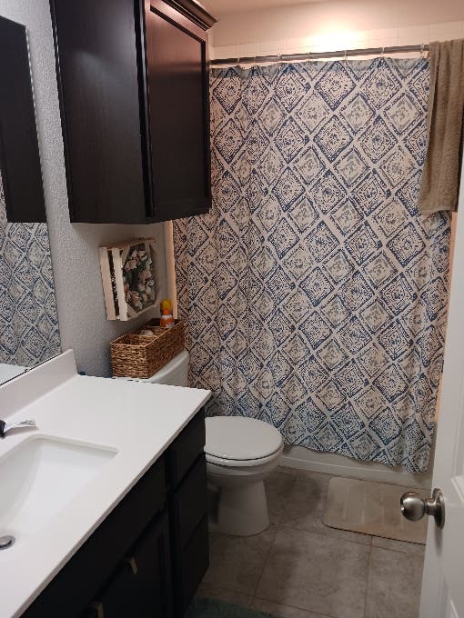 Looking for a roommate