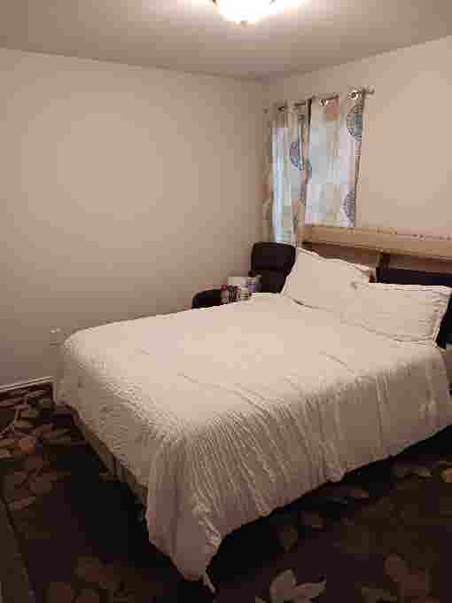 Looking for a roommate