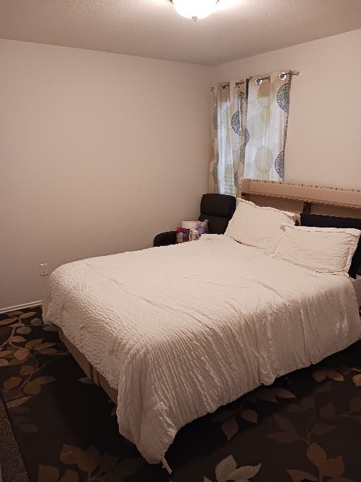 Looking for a roommate