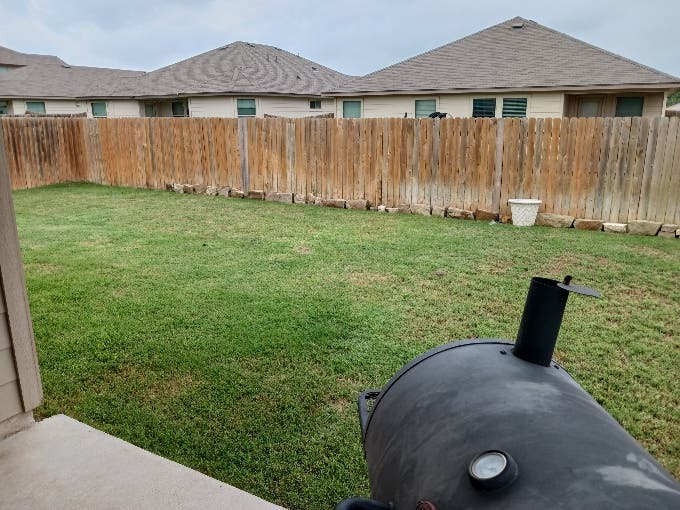 Looking for a roommate