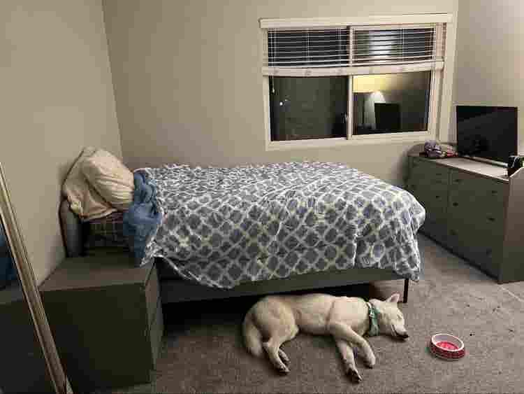 2 Rooms in North Glendale - Females