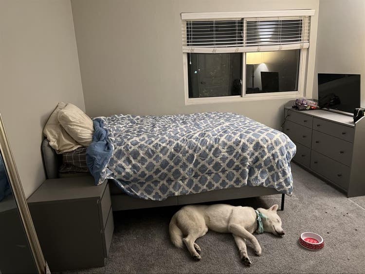 2 Rooms in North Glendale - Females