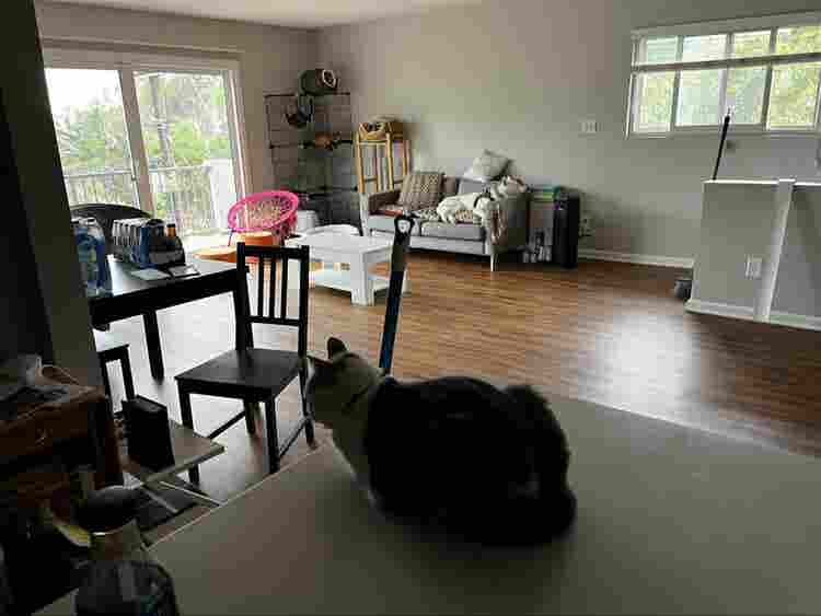 2 Rooms in North Glendale - Females