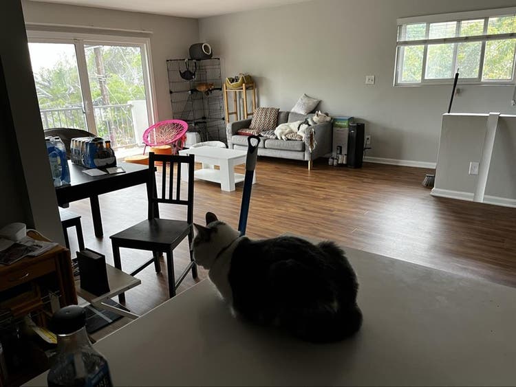 2 Rooms in North Glendale - Females